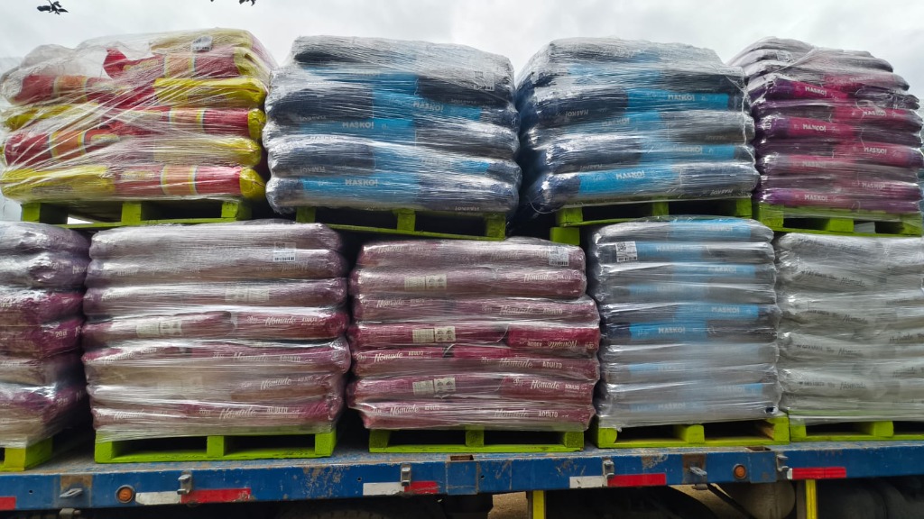Carga Paletizada para Distribución
